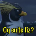 João Frango🤩 6