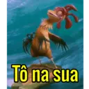 João Frango🤩 10