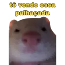 MEMES PARA BATER PAPO  15