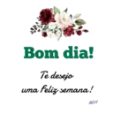 Parabéns 7 47