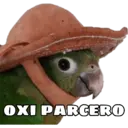 Meme pra qualquer situação 3 12