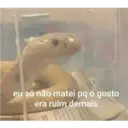 NAJA MILITANTE 10
