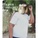 NAJA MILITANTE 11