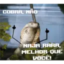 NAJA MILITANTE 14
