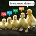 Figurinha