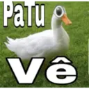 Figurinha