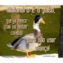 Figurinha