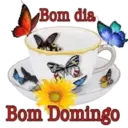 Figurinha