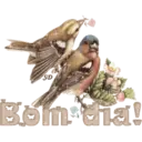 Sticker Image