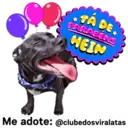 StickerAdoption  10