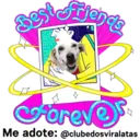 StickerAdoption  11