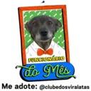 StickerAdoption  12