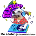StickerAdoption  13