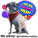 StickerAdoption  19