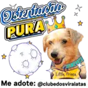 StickerAdoption  21