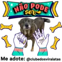 StickerAdoption  23