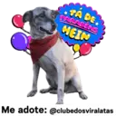 StickerAdoption  27