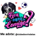 StickerAdoption  28