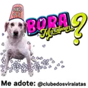 StickerAdoption  29