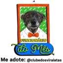 StickerAdoption  30