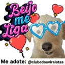 StickerAdoption  36
