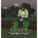 Tombo triste 1