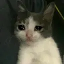 1.4