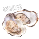 Memes diary 15