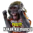 Indonesia 17