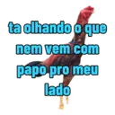 Roceiro 10