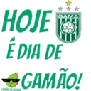 Gamão da Zueira 14