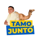 Rony Camelinho 4