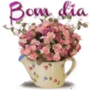 Figurinha