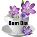 Figurinha