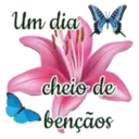 Figurinha