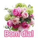 Figurinha