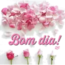 Figurinha