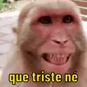 Monkeys reações 😂 7