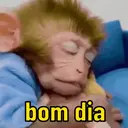 Monkeys reações 😂 9