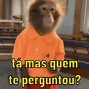 Monkeys reações 😂 11
