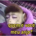 Monkeys reações 😂 13