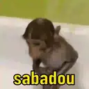 Monkeys reações 😂 16