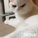 Memes Facheritos y Animados 3