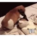 Memes Facheritos y Animados 5