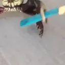 Oh, Crab! gifs 1