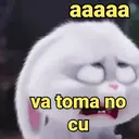 MEMES ÍCONES 1
