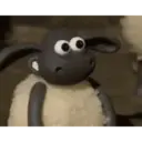 REAÇÕES 5