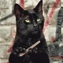 MEMES & REAÇÕES 👇🏻 3
