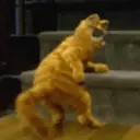 New animasi 6