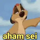 S&oacute; deboche 5
